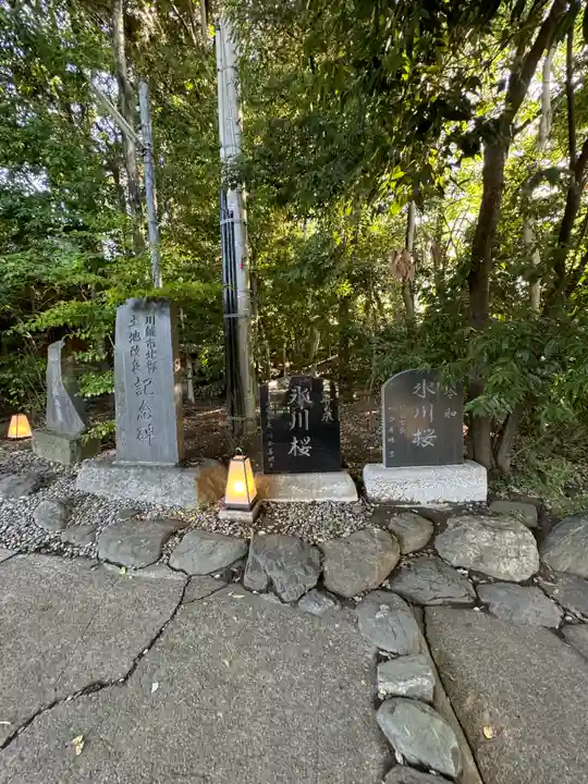 川越氷川神社(埼玉県)