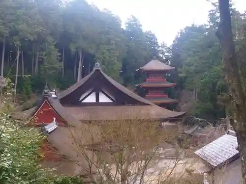 長命寺の建物その他