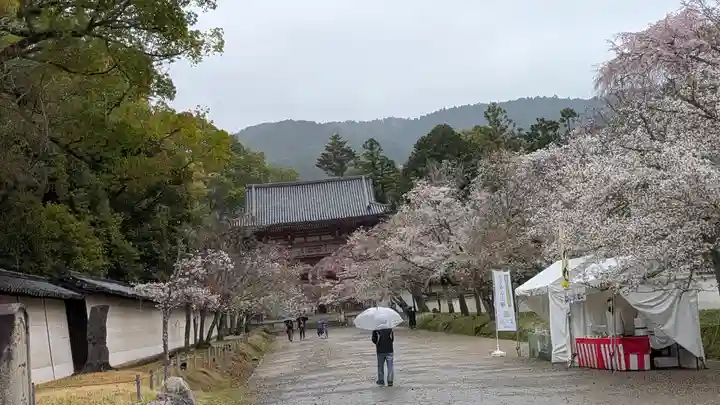 醍醐寺(京都府)