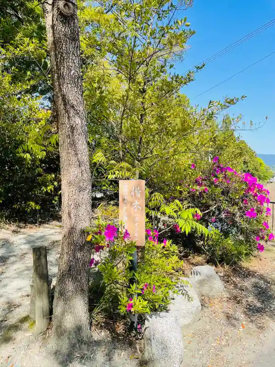 葛城一言主神社の自然