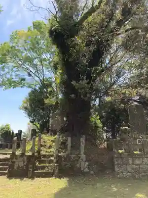 宗閑寺(静岡県)