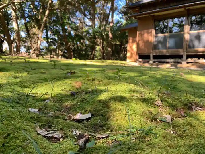 八幡神社の自然