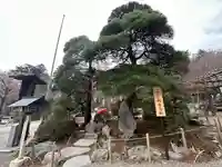 宝登山神社(埼玉県)