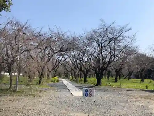 平野神社(京都府)