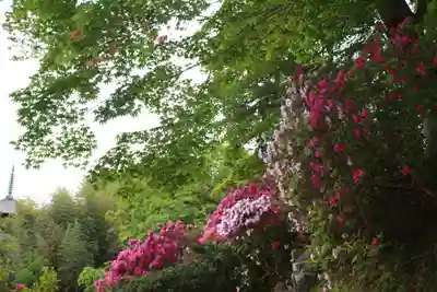 當麻寺 護念院(奈良県)