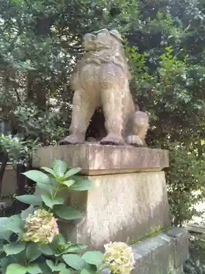 赤坂氷川神社の狛犬