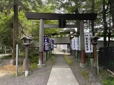 白金龍王社(愛知県)