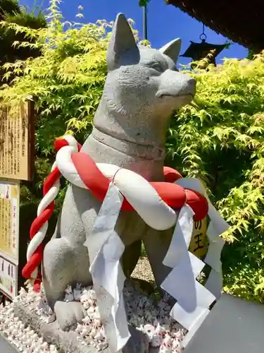 伊奴神社の狛犬