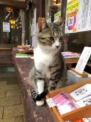王子神社(徳島県)