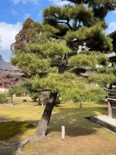 大覚寺(京都府)