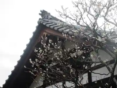 浄光明寺(神奈川県)