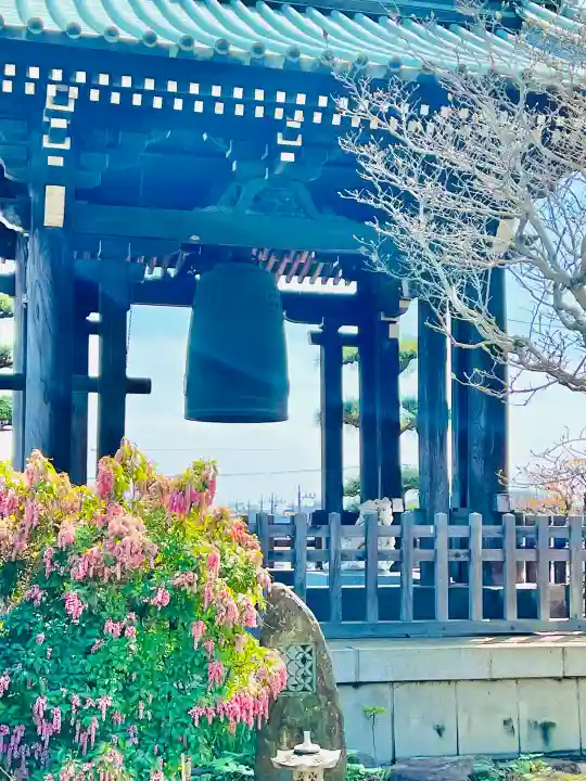 定年寺の{uncategorized: "未分類", other: "その他", undefined: "問題あり", building: "その他建物", grave: "お墓", sacred_gate: "鳥居", guardian: "狛犬", statue: "像", buddha: "仏像", history: "歴史", nature: "自然", garden: "庭園", animal: "動物", pagoda: "塔", temizu: "手水舎", mountain_gate: "山門・神門", sanctuary: "本殿・本堂", subordinate: "末社・摂社", art: "芸術", scenery: "景色", jizo: "地蔵", ema: "絵馬", goshuin: "御朱印", omikuji: "おみくじ", items: "授与品その他", amulet: "お守り", goshuincho: "御朱印帳", eats: "食事", festival: "お祭り", votive_dance: "神楽", shichigosan: "七五三参", wedding: "結婚式", experience: "体験その他", initially: "初詣", around: "周辺", anti_infection: "感染症対策"}