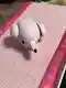 ともき