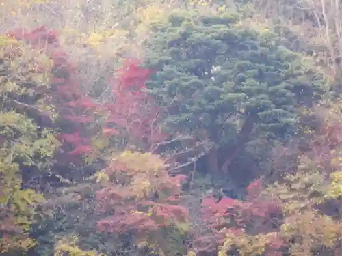 永福寺跡（永福寺址）の自然