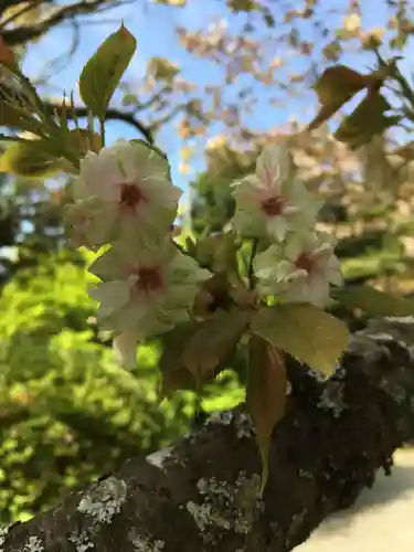 播州清水寺の自然