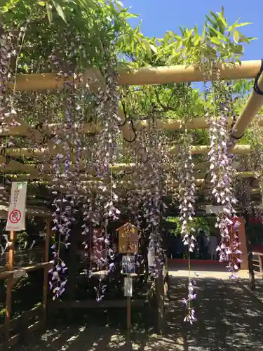 春日大社の庭園