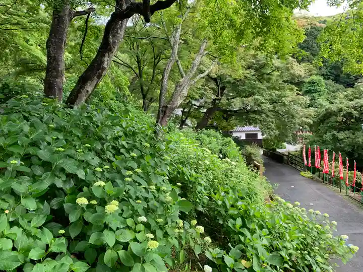 普門寺(切り絵御朱印発祥の寺)(愛知県)