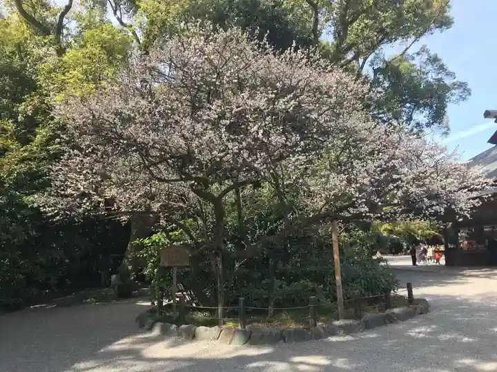熱田神宮の庭園