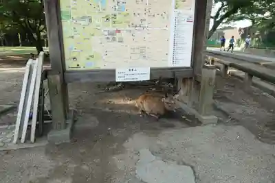 興福寺のその他建物