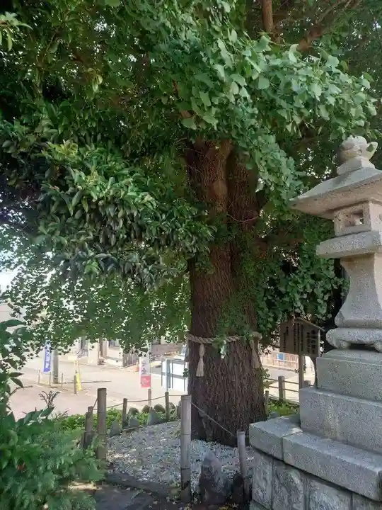 鹿嶋神社(茨城県)