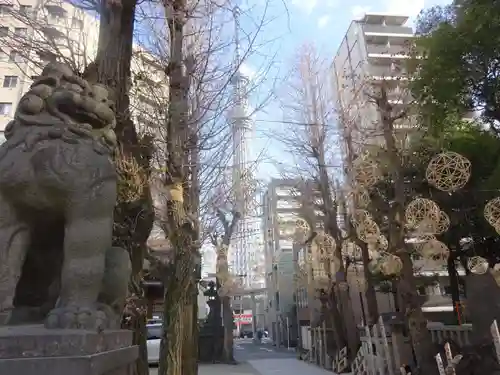 牛嶋神社の狛犬