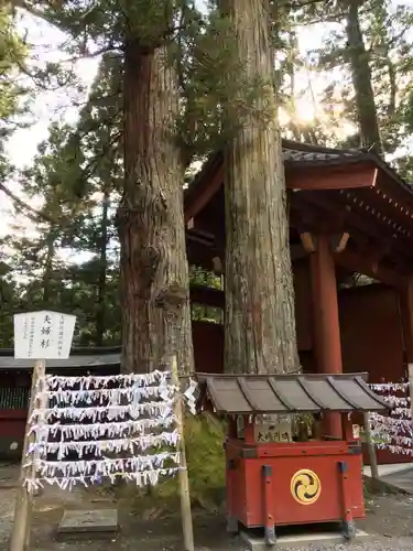 日光二荒山神社の自然