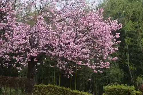 滑川神社 - 仕事と子どもの守り神の自然