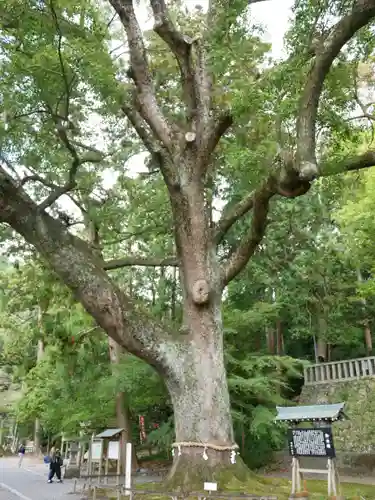 事任八幡宮の建物その他