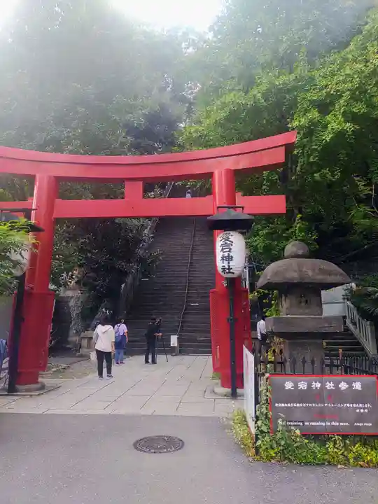愛宕神社の鳥居