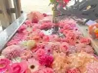 札幌諏訪神社の手水舎