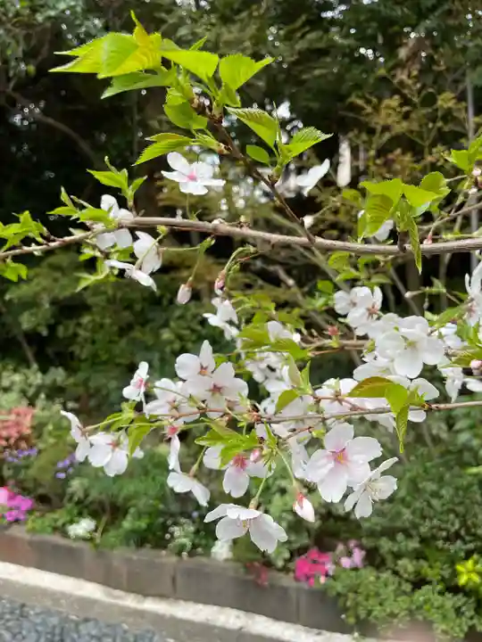 東京大神宮(東京都)