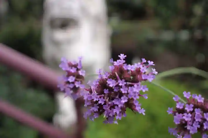 岩槻大師彌勒密寺の自然