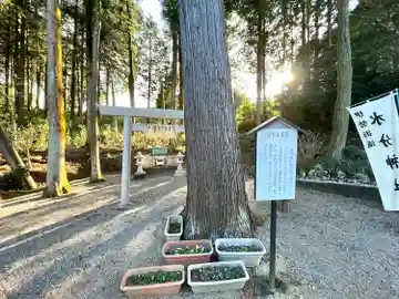 水分神社(三重県)