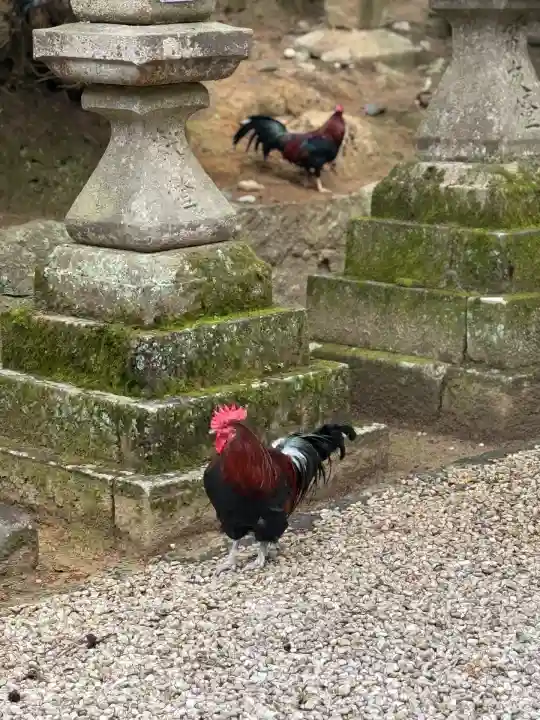 石上神宮(奈良県)