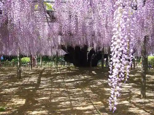 玉敷神社の庭園