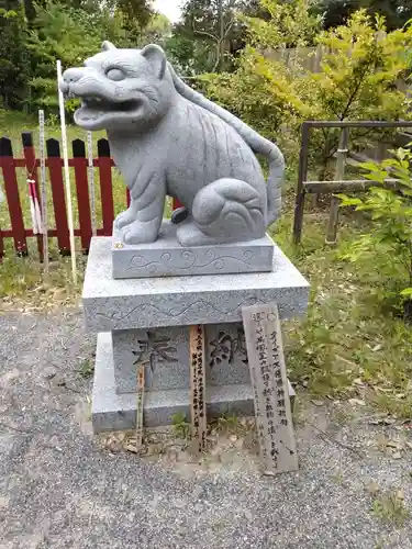 大江神社の狛犬
