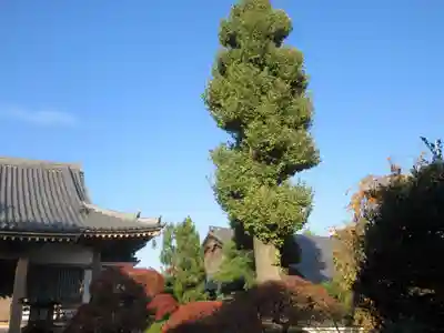 正覚院(東京都)