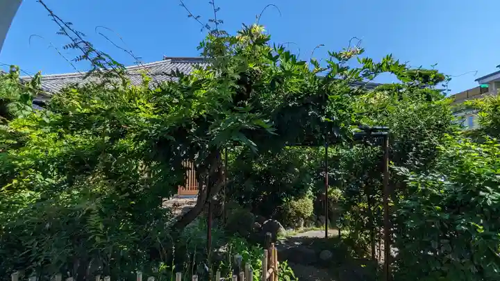 圓通寺(京都府)