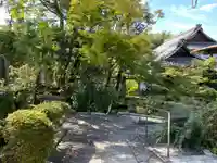 龍光院(京都府)