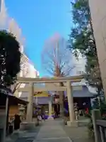 日本橋日枝神社(東京都)