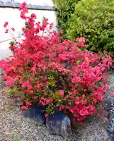 崇道天皇社(奈良県)