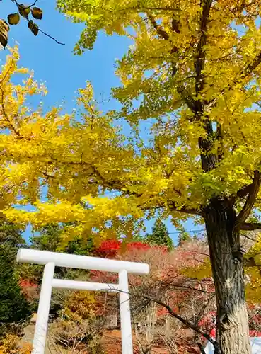 土津神社｜こどもと出世の神さまの鳥居