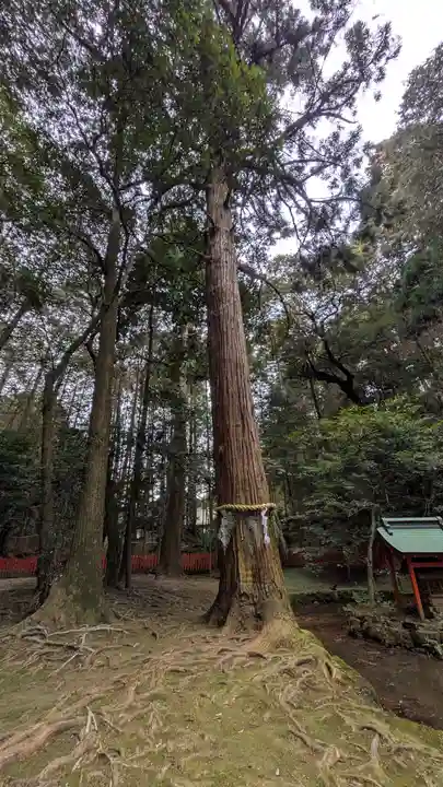 石山寺(滋賀県)