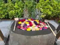 駒込妙義神社の{uncategorized: "未分類", other: "その他", undefined: "問題あり", building: "その他建物", grave: "お墓", sacred_gate: "鳥居", guardian: "狛犬", statue: "像", buddha: "仏像", history: "歴史", nature: "自然", garden: "庭園", animal: "動物", pagoda: "塔", temizu: "手水舎", mountain_gate: "山門・神門", sanctuary: "本殿・本堂", subordinate: "末社・摂社", art: "芸術", scenery: "景色", jizo: "地蔵", ema: "絵馬", goshuin: "御朱印", omikuji: "おみくじ", items: "授与品その他", amulet: "お守り", goshuincho: "御朱印帳", eats: "食事", festival: "お祭り", votive_dance: "神楽", shichigosan: "七五三参", wedding: "結婚式", experience: "体験その他", initially: "初詣", around: "周辺", anti_infection: "感染症対策"}