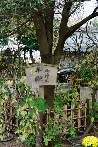 牛天神北野神社の自然