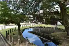 東大寺の庭園