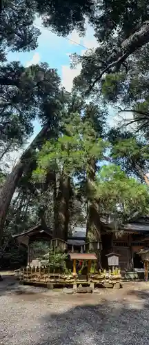 高千穂神社(宮崎県)