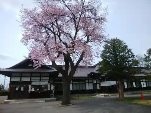 北海道護國神社の自然