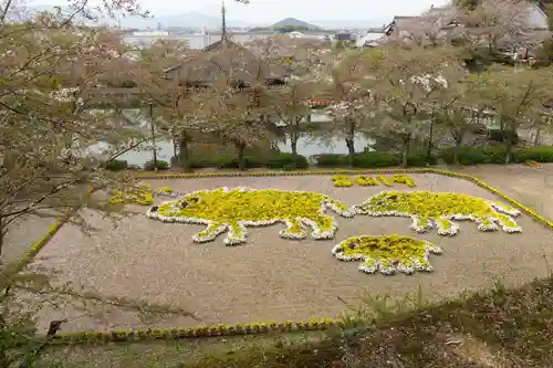 安倍文殊院 の景色