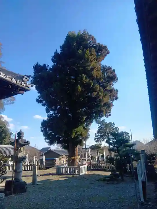 村國神社(岐阜県)